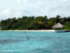 fotografie spiagge sud video informazioni notizie e consigli utili isole maldive eriyadu island resort isola di eriyadhoo atollo di male nord by Claudia&Dario di www.tuttomaldive.it gruppo luglio 2008