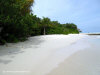 fotografie spiagge sud video informazioni notizie e consigli utili isole maldive eriyadu island resort isola di eriyadhoo atollo di male nord by Claudia&Dario di www.tuttomaldive.it gruppo luglio 2008