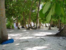 isole maldive foto photo informazioni fihalhohi resort isola di fihaalhohi atollo di male sud agosto 2005 by Fabio (Ippocrate)