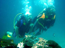 isole maldive : enzo spina istruttore responsabile del diving center di moofushi ed esperto sub del sito www.tuttomaldive.it - le interviste in esclusiva per www.tuttomaldive.it agli addetti del settore viaggi alle maldive(tour operator, diving, compagnie aeree, organizzazioni)