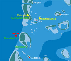 isole maldive : la mappa dell'avvistamento delle tre orche marine nell'atollo ari nord 
