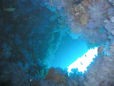 immersione malhos thila bluecaves ari nord isole maldive