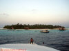 escursioni crociera maldive giulia boat isole maldive fotografie informazioni consigli barca giulia yacht boat tour operator seafari adventures gruppo tuttomaldive.it by Claudia&Dario di www.tuttomaldive.it febbraio 2007