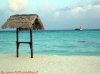 escursioni crociera maldive giulia boat isole maldive fotografie informazioni consigli barca giulia yacht boat tour operator seafari adventures gruppo tuttomaldive.it by Claudia&Dario di www.tuttomaldive.it febbraio 2007