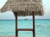 escursioni crociera maldive giulia boat isole maldive fotografie informazioni consigli barca giulia yacht boat tour operator seafari adventures gruppo tuttomaldive.it by Claudia&Dario di www.tuttomaldive.it febbraio 2007