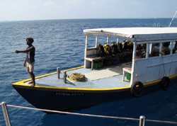 crociera maldive giulia boat isole maldive fotografie informazioni consigli barca giulia yacht boat tour operator seafari adventures gruppo tuttomaldive.it by Claudia&Dario di www.tuttomaldive.it febbraio 2007