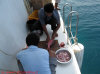 interno barca crociera maldive giulia boat isole maldive fotografie informazioni consigli barca giulia yacht boat tour operator seafari adventures gruppo tuttomaldive.it by Claudia&Dario di www.tuttomaldive.it febbraio 2007