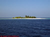 escursione isola deserta crociera maldive giulia boat isole maldive fotografie informazioni consigli barca giulia yacht boat tour operator seafari adventures gruppo tuttomaldive.it by Claudia&Dario di www.tuttomaldive.it febbraio 2007