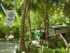 isole maldive fotografie informazioni consigli utili halaveli resort isola di halaveli atollo di ari nord by Cristina&C nel luglio 2005