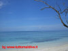 isole maldive fotografie video informazioni notizie consigli utili isole maldive helengeli island resort isola di helengeli atollo di male nord nell'agosto 2007 by Patrizia&Angelo