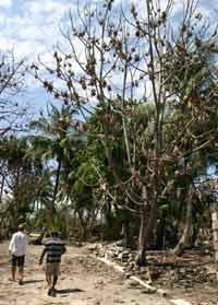 isole maldive iniziativa benifica un sorriso per le maldive distribuzione dei fondi raccolti in favore delle popolazioni delle maldive dopo il maremoto (tsunami)