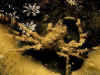 MT91232.jpg (103724 byte)