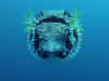 CE71549.jpg (29445 byte)