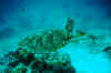 05_g.jpg (30452 byte)