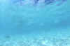 mal9712-s.jpg (21665 byte)