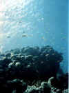 general10 copy.jpg (35562 byte)