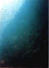 general8 copy.jpg (23110 byte)