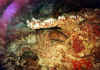 morena1 copy.jpg (57198 byte)