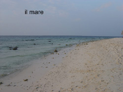 isole maldive le lamentele, disguidi, disservizi e i reclami dei disagi subiti da Rossella&Nicola nei confronti del tour operator sprintours viaggio prenotato e confermato al vilu reef resort  isola di meedhuffushi e mandati, dal tour operator sprintourscausa overbooking , sull'isola di alidhoo cinnamon island resort