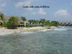 isole maldive le lamentele, disguidi, disservizi e i reclami dei disagi subiti da Rossella&Nicola nei confronti del tour operator sprintours viaggio prenotato e confermato al vilu reef resort  isola di meedhuffushi e mandati, dal tour operator sprintourscausa overbooking , sull'isola di alidhoo cinnamon island resort