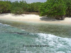 fotografie isole maldive le lamentele, disguidi, disservizi e i reclami dei disagi subiti da Rossella&Nicola nei confronti del tour operator sprintours viaggio prenotato e confermato al vilu reef resort  isola di meedhuffushi e mandati, dal tour operator sprintourscausa overbooking , sull'isola di alidhoo cinnamon island resort