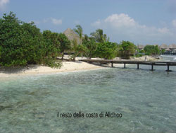 isole maldive le lamentele, disguidi, disservizi e i reclami dei disagi subiti da Rossella&Nicola nei confronti del tour operator sprintours viaggio prenotato e confermato al vilu reef resort  isola di meedhuffushi e mandati, dal tour operator sprintourscausa overbooking , sull'isola di alidhoo cinnamon island resort