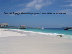 isole maldive le lamentele, disguidi, disservizi e i reclami dei disagi subiti da Rossella&Nicola nei confronti del tour operator sprintours viaggio prenotato e confermato al vilu reef resort  isola di meedhuffushi e mandati, dal tour operator sprintourscausa overbooking , sull'isola di alidhoo cinnamon island resort