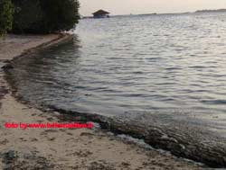 fotografie delle lamentele di Denise nei confronti del tour operator reliance per i disagi e i disservizi subiti in occasione del viaggio al club faru isola di farukolhufushi atollo di male nord nell'aprile 2006
