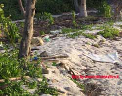 fotografie delle lamentele di Denise nei confronti del tour operator reliance per i disagi e i disservizi subiti in occasione del viaggio al club faru isola di farukolhufushi atollo di male nord nell'aprile 2006