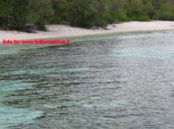 fotografie delle lamentele di Denise nei confronti del tour operator reliance per i disagi e i disservizi subiti in occasione del viaggio al club faru isola di farukolhufushi atollo di male nord nell'aprile 2006