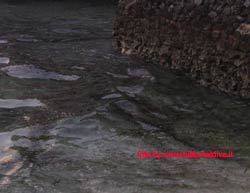 fotografie delle lamentele di Denise nei confronti del tour operator reliance per i disagi e i disservizi subiti in occasione del viaggio al club faru isola di farukolhufushi atollo di male nord nell'aprile 2006
