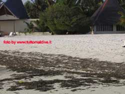 fotografie delle lamentele di Denise nei confronti del tour operator reliance per i disagi e i disservizi subiti in occasione del viaggio al club faru isola di farukolhufushi atollo di male nord nell'aprile 2006