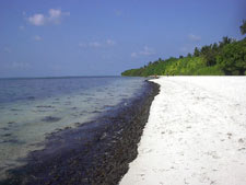 fotografie delle lamentele di Monica nei confronti del tour operator club med per i disagi e i disservizi subiti in occasione del viaggio al faru club med resort isola di farukolhufushi atollo di ari sud nel marzo 2004