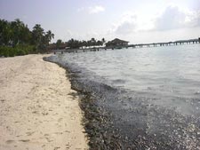 fotografie delle lamentele di Monica nei confronti del tour operator club med per i disagi e i disservizi subiti in occasione del viaggio al faru club med resort isola di farukolhufushi atollo di ari sud nel marzo 2004