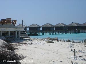 isole maldive le lamentele, disguidi, disservizi e i reclami dei disagi subiti da Emanuele e Donatella nei confronti del tour operator azemar per i disagi e i disservizi subiti durante il viaggio al filitheyo resort isola di filiteyo atollo di nilandhoo sud nel gennaio 2010