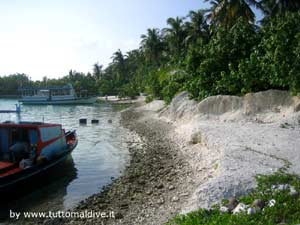isole maldive le lamentele, disguidi, disservizi e i reclami dei disagi subiti da Emanuele e Donatella nei confronti del tour operator azemar per i disagi e i disservizi subiti durante il viaggio al filitheyo resort isola di filiteyo atollo di nilandhoo sud nel gennaio 2010