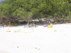 isole maldive le lamentele, disguidi, disservizi e i reclami dei disagi subito da Fabrizio&C in occasione del viaggio al vilu reef resort isola di meedhuffushi nel febbraio 2006