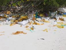 isole maldive le lamentele, disguidi, disservizi e i reclami dei disagi subito da Fabrizio&C in occasione del viaggio al vilu reef resort isola di meedhuffushi nel febbraio 2006