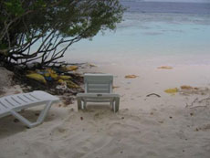 isole maldive le lamentele, disguidi, disservizi e i reclami dei disagi subito da Fabrizio&C in occasione del viaggio al vilu reef resort isola di meedhuffushi nel febbraio 2006