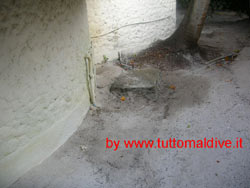 fotografie delle lamentele, disguidi, disservizi e i reclami dei disagi subiti da Alessandro Emanuela Giulia e Elena durante il viaggio al bathala island resort isola di bathalaa atollo di ari nord nell' agosto 2007 con il tour operator azemar