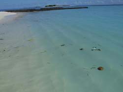 isole maldive fotografie delle lamentele, disguidi, disservizi e i reclami dei disagi subiti da Sara&Fabio nei confronti del tour operator hotelpan (tclub) per i disagi e i disservizi subiti  durante il viaggio  al maafushivaru island resort  isola di maafushivaru atollo di ari nel giugno 2006