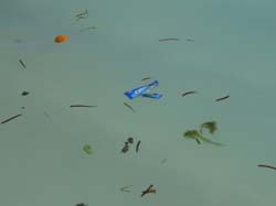 isole maldive fotografie delle lamentele, disguidi, disservizi e i reclami dei disagi subiti da Sara&Fabio nei confronti del tour operator hotelpan (tclub) per i disagi e i disservizi subiti  durante il viaggio  al maafushivaru island resort  isola di maafushivaru atollo di ari nel giugno 2006