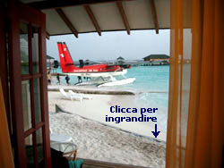 clicca per effettuare lo zoom sui particolari