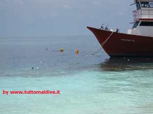 isole maldive le lamentele, disguidi, disservizi e i reclami dei disagi subiti da Giuliano&Calua  durante il viaggio al rannalhi island resort adaaran isola di rannalhi atollo di male sud nel marzo 2009 con il tour operator azemar