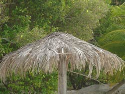 isole maldive le lamentele, disguidi, disservizi e i reclami dei disagi subiti da Giovanni nei confronti del tour operator eden viaggi per i disagi e i disservizi subiti  durante il soggiorno al ranveli village isola di viligilivaru atollo di ari sud nel marzo 2008