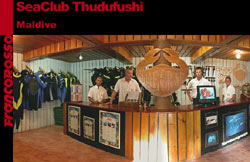 isole maldive : Le lamentele i disguidi e i disservizi. pubblichiamo il testo scritto sul forum di TuttoMaldive da Alessandro per i disservizi subiti in occasione del viaggio prenotato al thudufushi resort isola di thundufushi atollo di ari sud nel febbraio 2009 con il tour operator francorosso