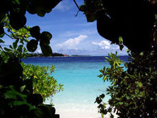 fotografie delle lamentele di Federico nei confronti del tour operator sprintours per i disagi e i disservizi subiti in occasione del viaggio al vilu reef resort isola di meedhuffushi atollo di sud nilandhoo nell'agosto 2004