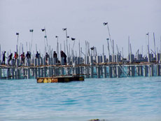 fotografie delle lamentele di Federico nei confronti del tour operator sprintours per i disagi e i disservizi subiti in occasione del viaggio al vilu reef resort isola di meedhuffushi atollo di sud nilandhoo nell'agosto 2004