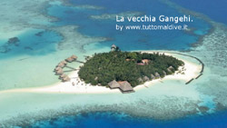 notizie e news isole maldive presentazione ufficiale alla stampa e agli agenti di viaggio del nuovo resort alle maldive di best tour: gangehi resort notizie in diretta dalle maldive
