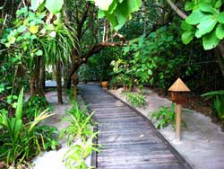notizie e news isole maldive presentazione ufficiale alla stampa e agli agenti di viaggio del nuovo resort alle maldive di best tour: gangehi resort notizie in diretta dalle maldive